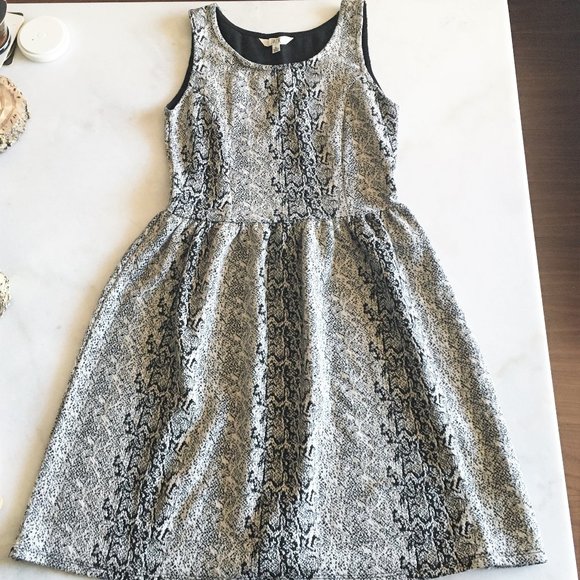 Jack BB Dakota sleeveless black & cream knit fit & flare dress with snake print - Picture 1 of 8